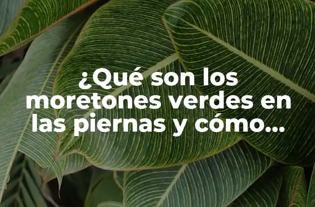 ¿qué Son los Moretones Verdes en las Piernas y Cómo Tratarlos?