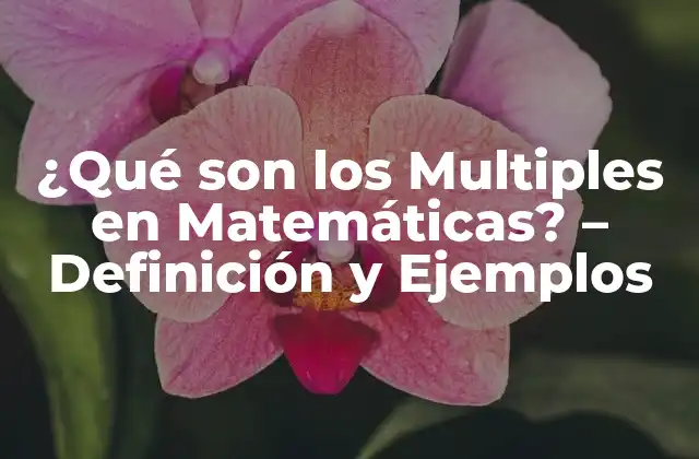¿qué Son los Multiples en Matemáticas? – Definición y Ejemplos
