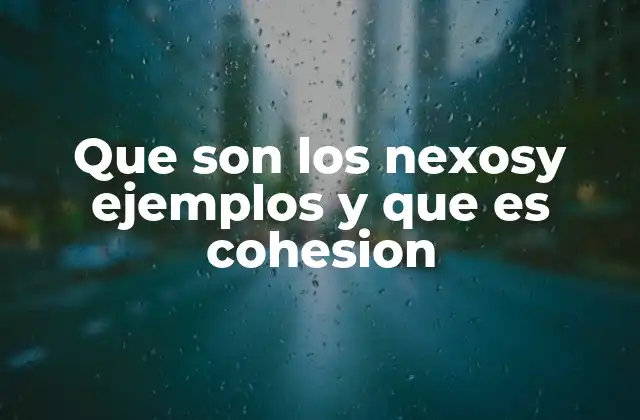 Que Son los Nexosy Ejemplos y que es Cohesion