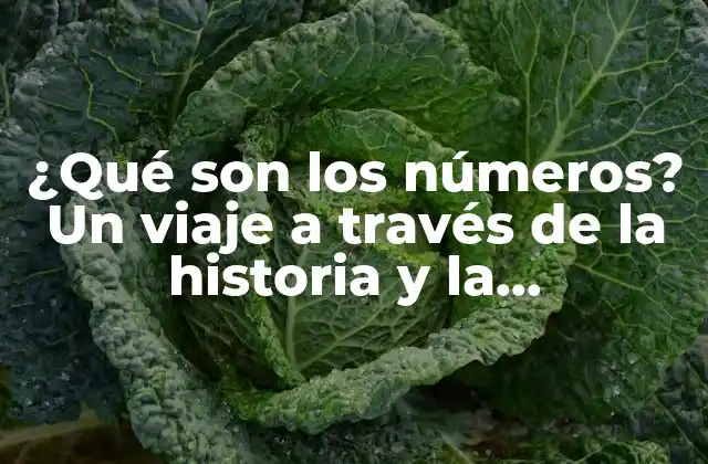 ¿qué Son los Números? un Viaje a Través de la Historia y la Importancia de la Numeración