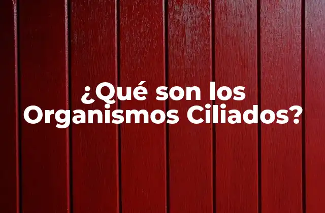 ¿qué Son los Organismos Ciliados?