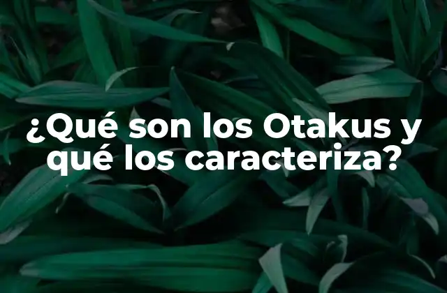 ¿qué Son los Otakus y Qué los Caracteriza?