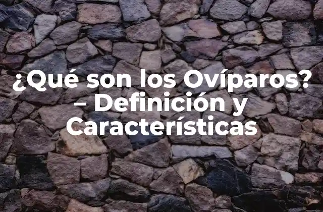 ¿qué Son los Ovíparos? – Definición y Características