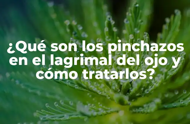 ¿qué Son los Pinchazos en el Lagrimal Del Ojo y Cómo Tratarlos?