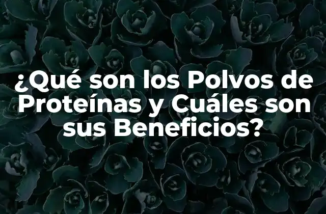 ¿Qué son las Proteínas y por qué son Importantes?