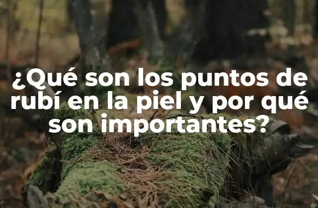 ¿qué Son los Puntos de Rubí en la Piel y por Qué Son Importantes?