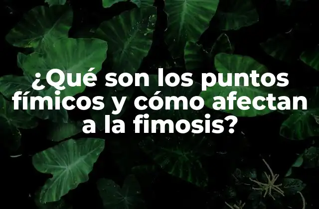 ¿qué Son los Puntos Fímicos y Cómo Afectan a la Fimosis?