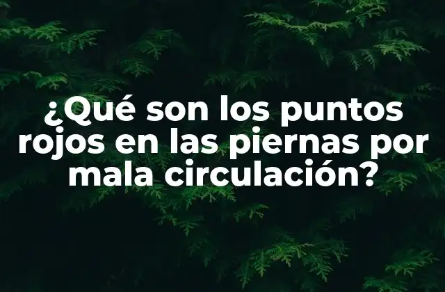 ¿qué Son los Puntos Rojos en las Piernas por Mala Circulación?