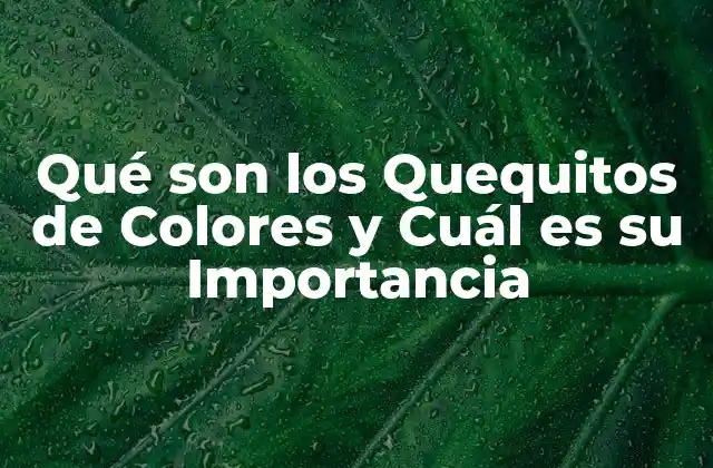 Qué Son los Quequitos de Colores y Cuál es Su Importancia