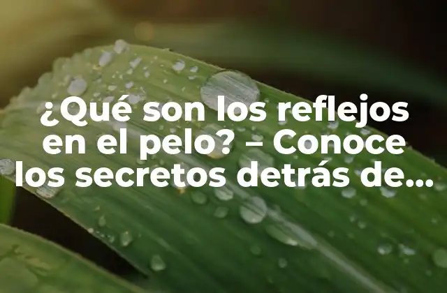 ¿qué Son los Reflejos en el Pelo? – Conoce los Secretos Detrás de Este Efecto de Moda