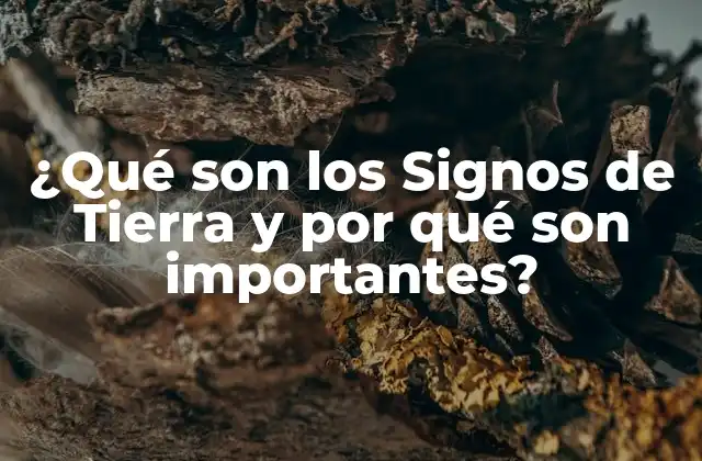 ¿qué Son los Signos de Tierra y por Qué Son Importantes?