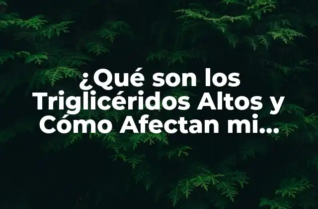 ¿qué Son los Triglicéridos Altos y Cómo Afectan Mi Salud? 2 Causas de los Triglicéridos Altos