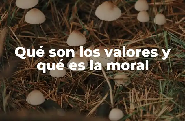 Qué Son los Valores y Qué es la Moral