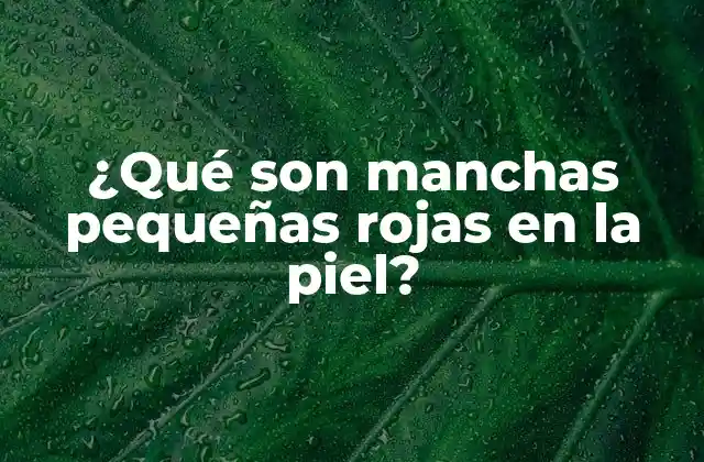 ¿qué Son Manchas Pequeñas Rojas en la Piel?
