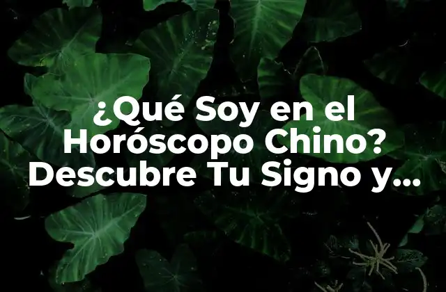 ¿qué Soy en el Horóscopo Chino? Descubre Tu Signo y Personalidad