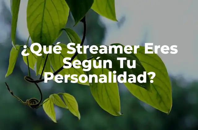 Los 4 Tipos de Personalidad: ¿Cuál es el Tuyo?