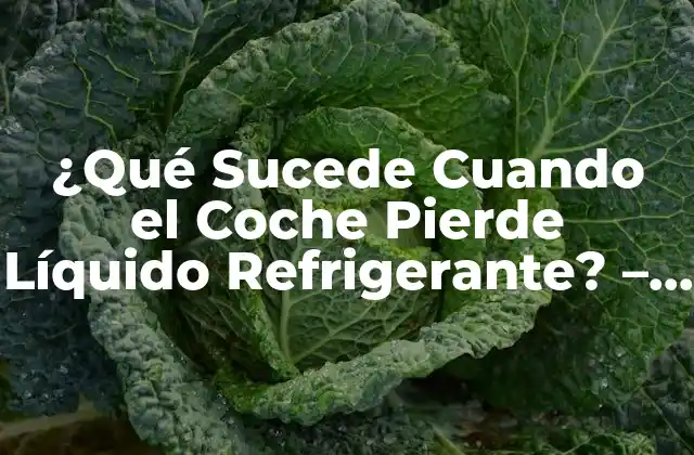 ¿qué Sucede Cuando el Coche Pierde Líquido Refrigerante? – Guía Completa