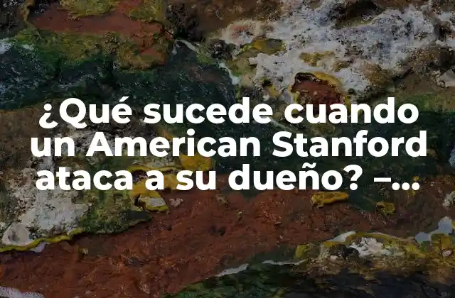 ¿qué Sucede Cuando un American Stanford Ataca a Su Dueño? – Entendiendo el Comportamiento Canino