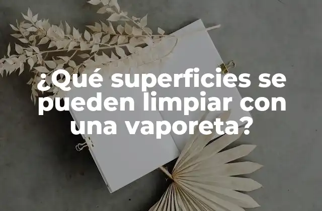 ¿qué Superficies Se Pueden Limpiar con una Vaporeta?