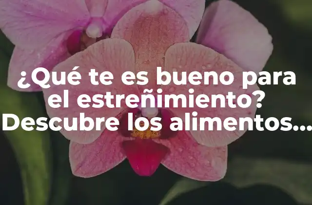 ¿qué Te es Bueno para el Estreñimiento? Descubre los Alimentos y Remedios Naturales Más Efectivos