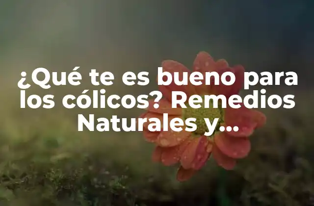 ¿qué Te es Bueno para los Cólicos? Remedios Naturales y Tratamientos Efectivos