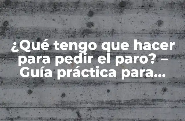 ¿qué Tengo que Hacer para Pedir el Paro? – Guía Práctica para Solicitar el Desempleo