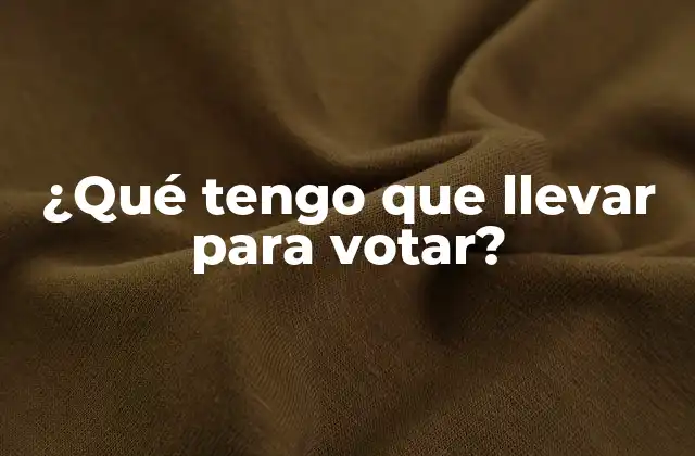 ¿qué Tengo que Llevar para Votar?