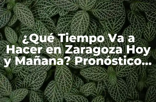 ¿qué Tiempo Va a Hacer en Zaragoza Hoy y Mañana? Pronóstico Del Tiempo en Zaragoza