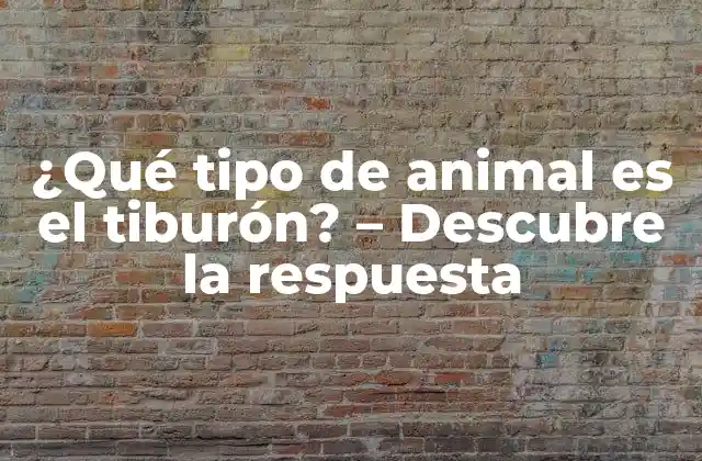 ¿qué Tipo de Animal es el Tiburón? – Descubre la Respuesta