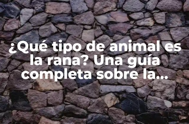 ¿qué Tipo de Animal es la Rana? una Guía Completa sobre la Biología y Características de las Ranas