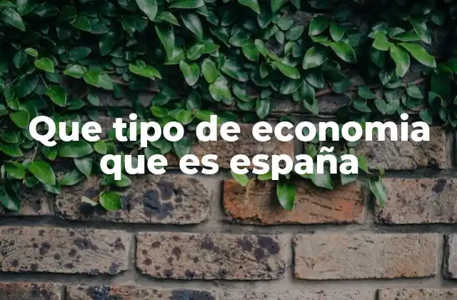 Que Tipo de Economia que es España 2 La estructura económica de España en el contexto europeo