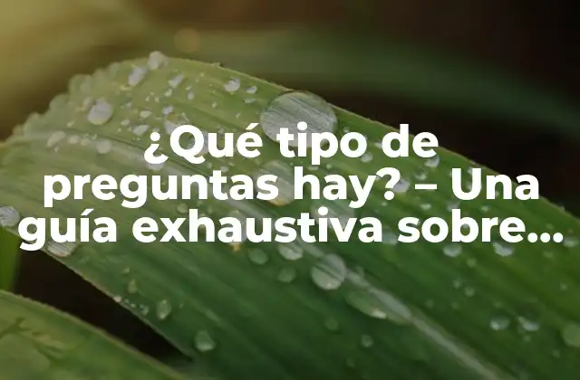¿qué Tipo de Preguntas Hay? – una Guía Exhaustiva sobre las Diversas Formas de Cuestionar