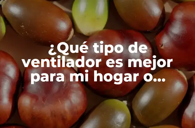 ¿Qué son los ventiladores de techo y cómo funcionan?