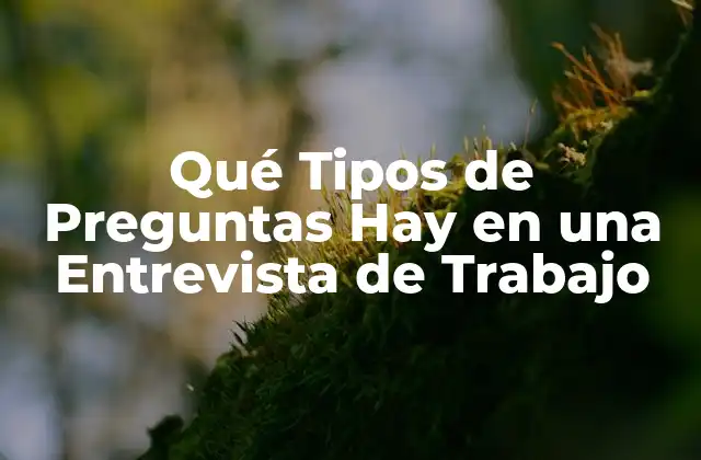 Qué Tipos de Preguntas Hay en una Entrevista de Trabajo