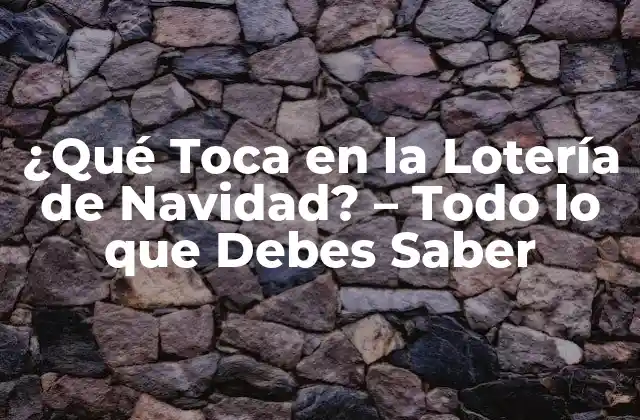 ¿qué Toca en la Lotería de Navidad? – Todo Lo que Debes Saber
