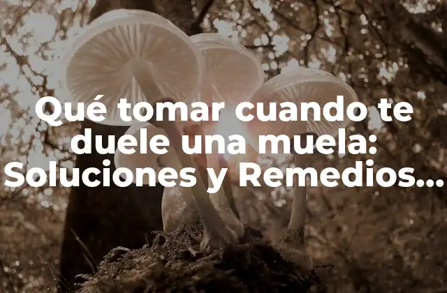 Qué Tomar Cuando Te Duele una Muela: Soluciones y Remedios Naturales