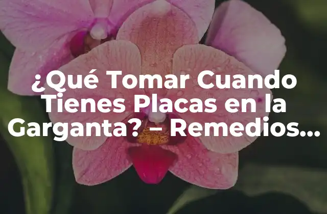 ¿qué Tomar Cuando Tienes Placas en la Garganta? – Remedios y Tratamientos