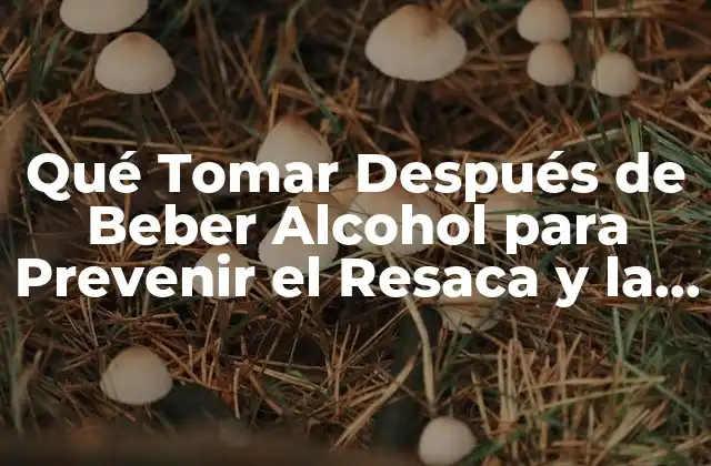 Qué Tomar Después de Beber Alcohol para Prevenir el Resaca y la Deshidratación