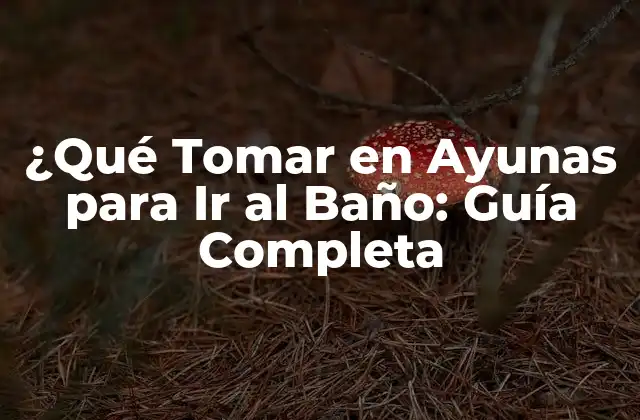 ¿qué Tomar en Ayunas para Ir Al Baño: Guía Completa