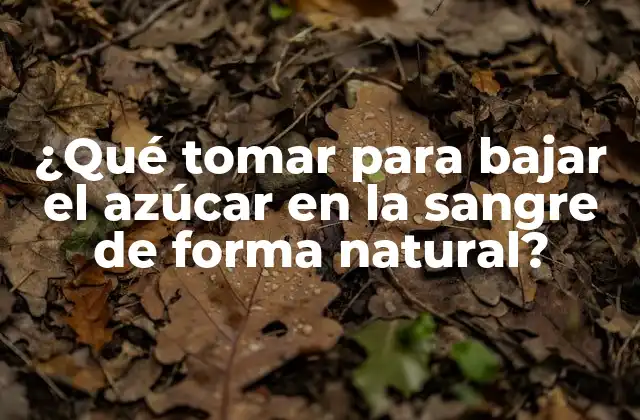 ¿qué Tomar para Bajar el Azúcar en la Sangre de Forma Natural? 2 ¿Qué alimentos deberían incluirse en una dieta para reducir el azúcar en la sangre?