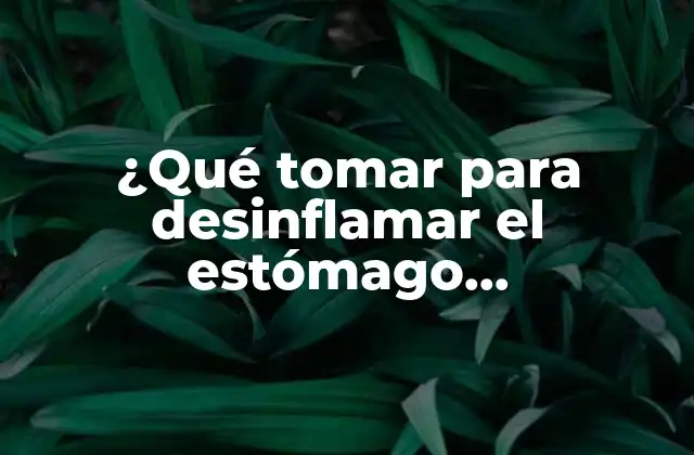 ¿qué Tomar para Desinflamar el Estómago Naturalmente?