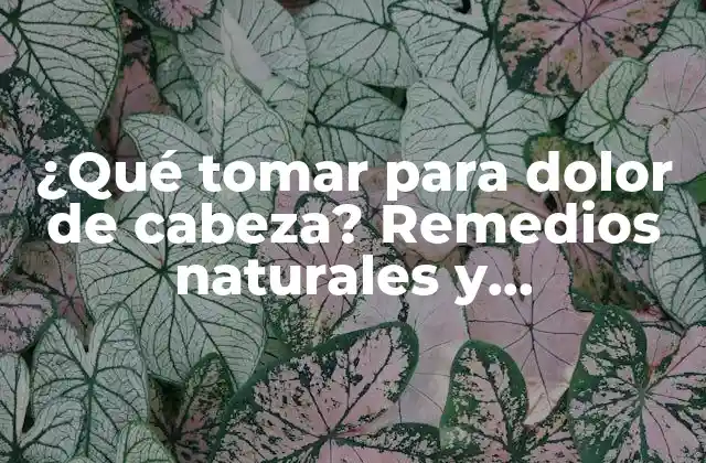 ¿qué Tomar para Dolor de Cabeza? Remedios Naturales y Medicamentos 2 Causas del dolor de cabeza