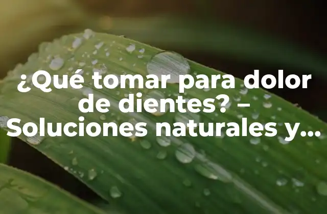 ¿qué Tomar para Dolor de Dientes? – Soluciones Naturales y Farmacológicas