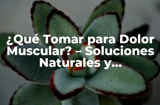 Causas del dolor muscular