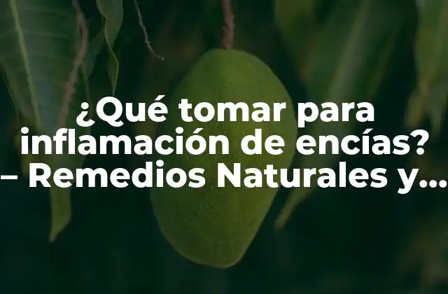 ¿qué Tomar para Inflamación de Encías? – Remedios Naturales y Tratamientos Efectivos