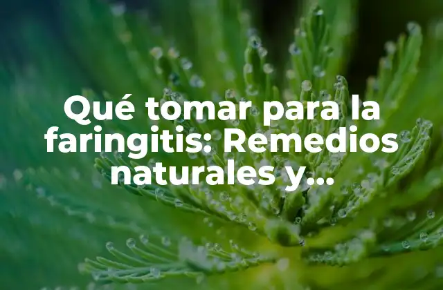 Qué Tomar para la Faringitis: Remedios Naturales y Medicamentos Efectivos