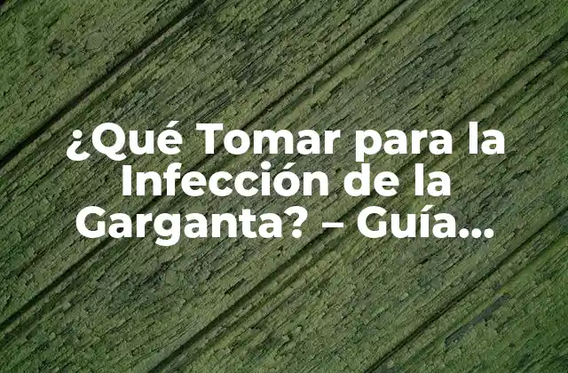 ¿qué Tomar para la Infección de la Garganta? – Guía Completa y Actualizada