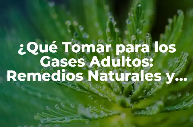 ¿qué Tomar para los Gases Adultos: Remedios Naturales y Soluciones Efectivas?