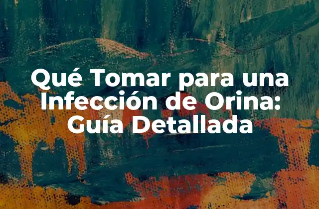 Qué Tomar para una Infección de Orina: Guía Detallada 2 Causas y Factores de Riesgo de la Infección de Orina