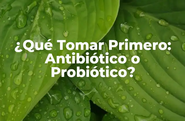 ¿qué Tomar Primero: Antibiótico o Probiótico?